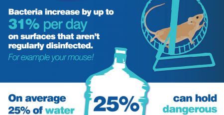 How our office environments impact us at work